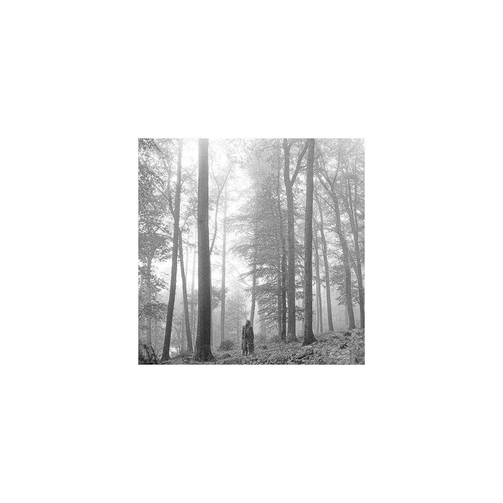 Taylor Swift - Folklore (12" LP)