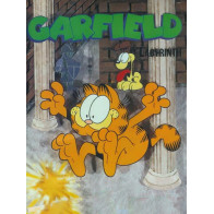 Garfield Labyrinth (Nintendo Game Boy) - Nintendo