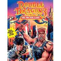 Double Dragon 3