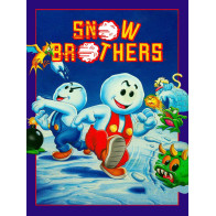Snow Brothers