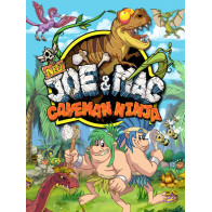 Joe & Mac Caveman Ninja