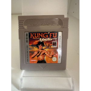 Kung Fu Master